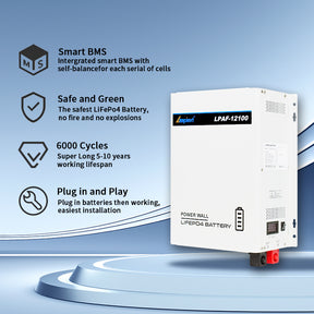 12V 100AH 1.2KWH Power Wall LiFePO4 Lithium Battery with BMS LP-AF12100